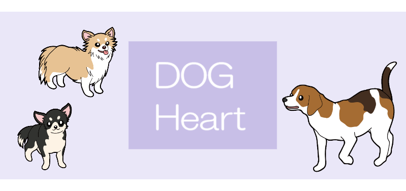 DOG Heart(ドッグハート)鹿児島県霧島市のブリーダーズショップ&子犬&ペット
